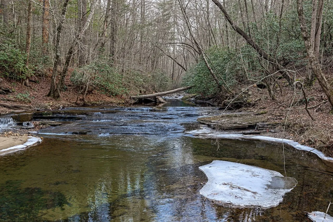 Wooded creek on land purchased in Alabama